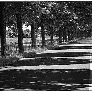 Licht und Schatten 1_BW.jpg
