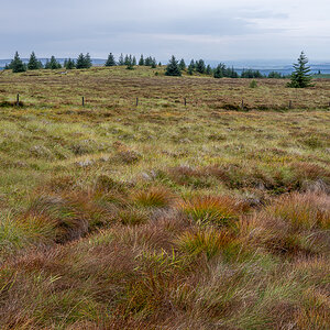 pw_20250907_3503.jpg