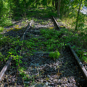 OFZ_06662.jpg