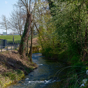 DSCF2946.jpg