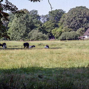 260702-HBinFa-021.jpg