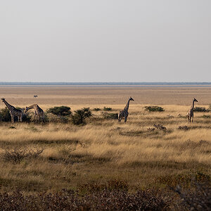 DSC_7525.jpg