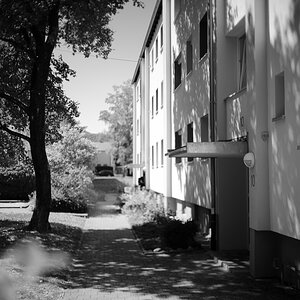 DSCF3244.jpg