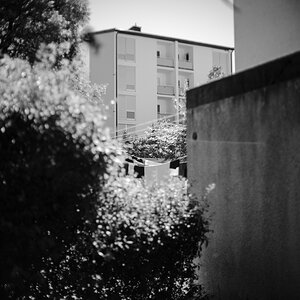 DSCF3249.jpg