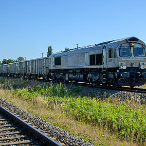 OFZ_06667.jpg
