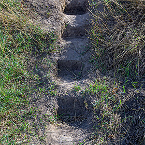 OFZ_06900.jpg