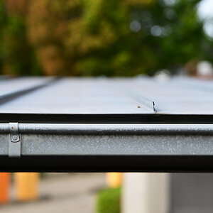 Z8A_2954fks40p1.jpg