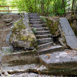 DSCF0621.jpg