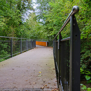 DSCF3333.jpg