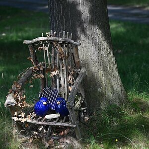 Vogelsitz.jpg