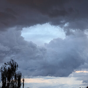 OF2_78575.jpg
