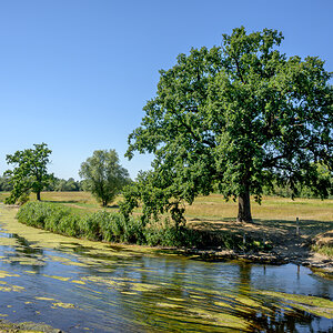 OFZ_06635.jpg