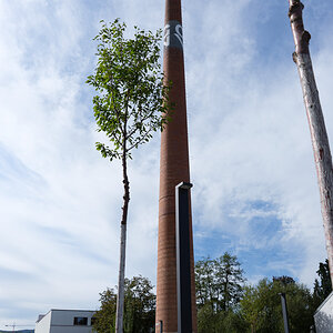 DSCF3364.jpg