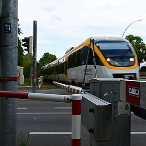 Z8A_3059t2l5fks40p1.jpg