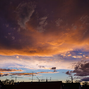 DSCF3327.jpg