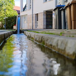 DSCF3385.jpg