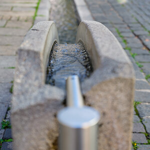 DSCF3388.jpg