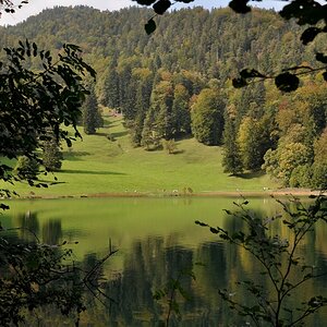 Badewiese am Alatsee