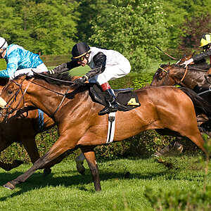 rennbahn05