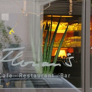 DSC 2788 Herbst Cafe Forum