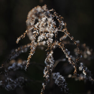 Herbst2009 LetzteWaerme11