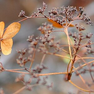 Blatt2