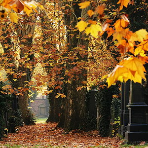 Jüdischer Friedhof in Frankfurt #1