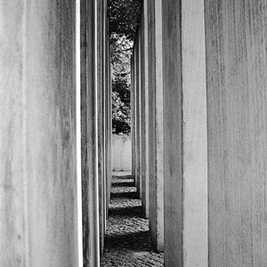 Jüdisches Museum Berlin
"Garten des Exils"