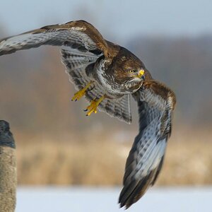 Abflug