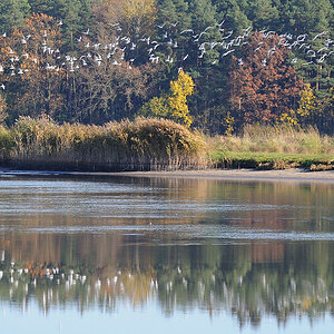 Kastenweiher11 01
