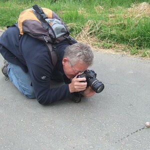 Selbstbildnis, Kniefall vor einer Schnecke