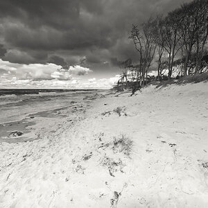 Darss Weststrand