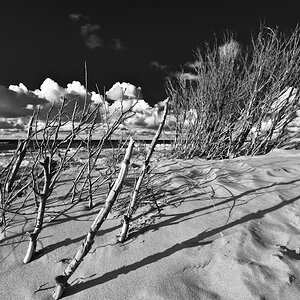 Darss Weststrand