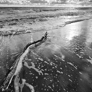 Darss Weststrand