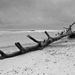 Darss Weststrand