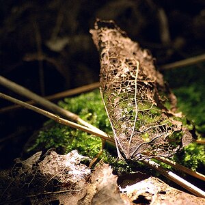blatt2a