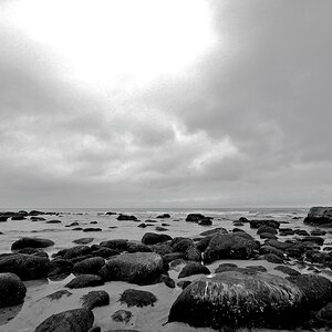 DSCF6628