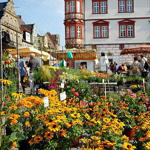 Markttag