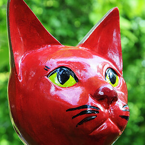 RedCat