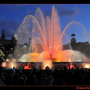 Foto 498 a