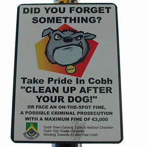 Dog Schild
