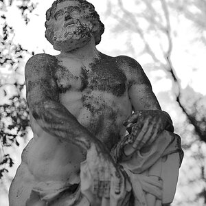 DSC0906n nff