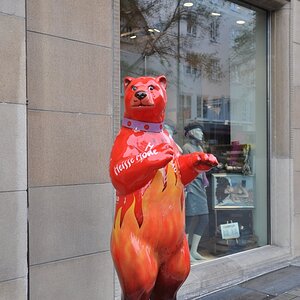 Roter Bär