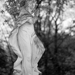 DSC0903n nff