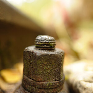 DSC 6250