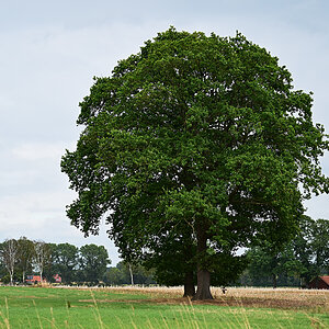 Z8A_3083t2l3fks40p1.jpg