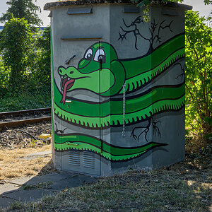 OFZ_05897.jpg