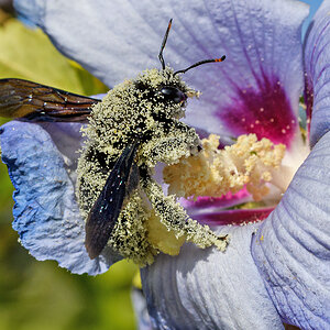F55_5673.jpg