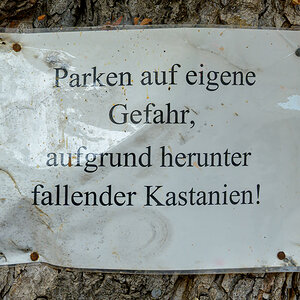 OFZ_07493.jpg