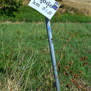 OFZ_07199.jpg